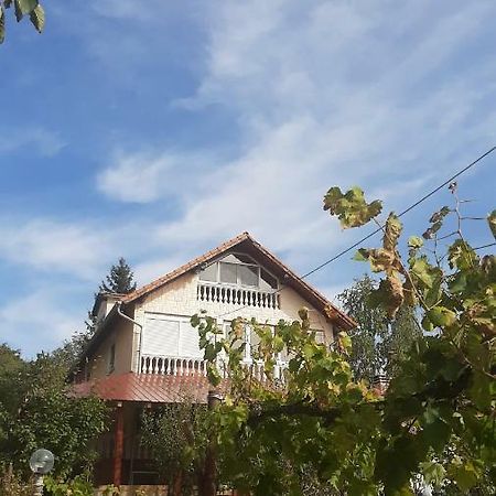 Aleksandar Vila Br Врднік Екстер'єр фото