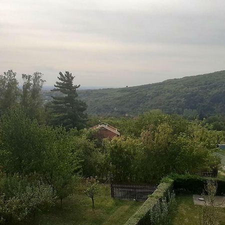 Aleksandar Vila Br Врднік Екстер'єр фото