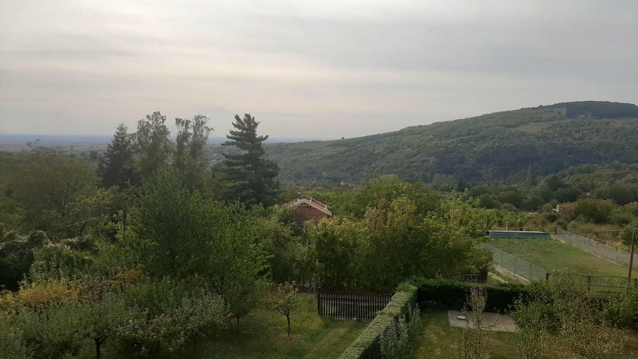 Aleksandar Vila Br Врднік Екстер'єр фото